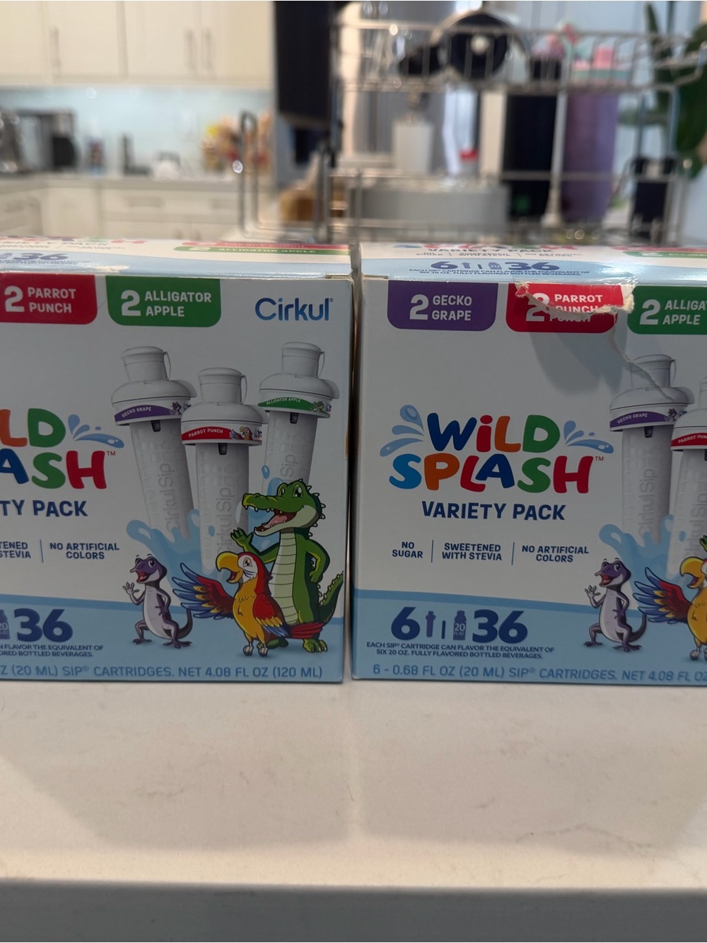 Splash Wild Splash Variety Pack Kids Drink Cartridges — Green, Purple, Red, Blue